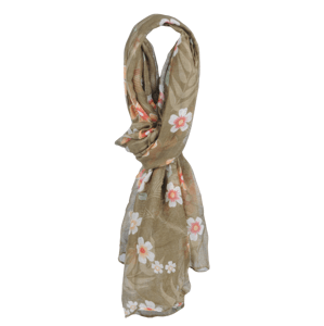 Coveri Collection A24