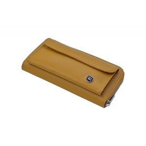 BRIGHT Dámská crossbody kapsa/peněženka Tmavě Žlutá, 11 x 7 x 21 (XBR23-SA4136-16DOL)