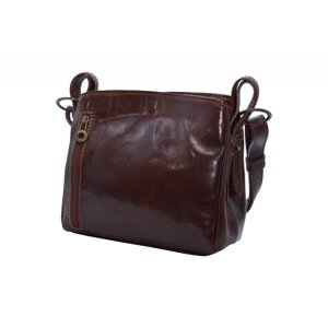 Dámská kožená kabelka Hnědá, 25 x 9 x 22 (XT00-CR6569-03TAM)