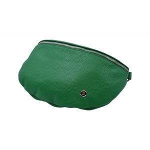 BRIGHT Dámská ledvina Zelená, 35 x 19 x 10 (XBR24-ML4125-04DOL)