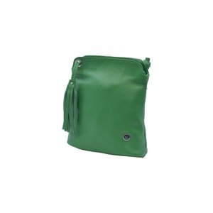 BRIGHT Dámská crossbody kapsa Zelená, 20 x 9 x 22 (XBR25-JC4114-04DOL)